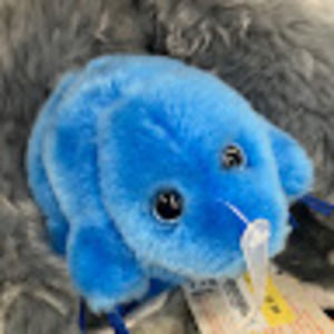 Meet your Posher, Goobert